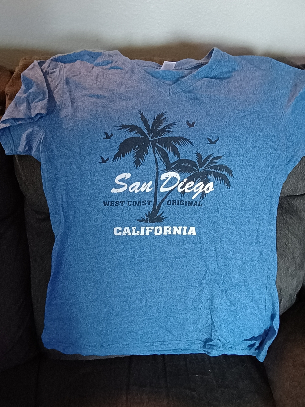 San Diego California T-Shirt Large Blue Palm Tree West Coast Graphic V-Neck Tee